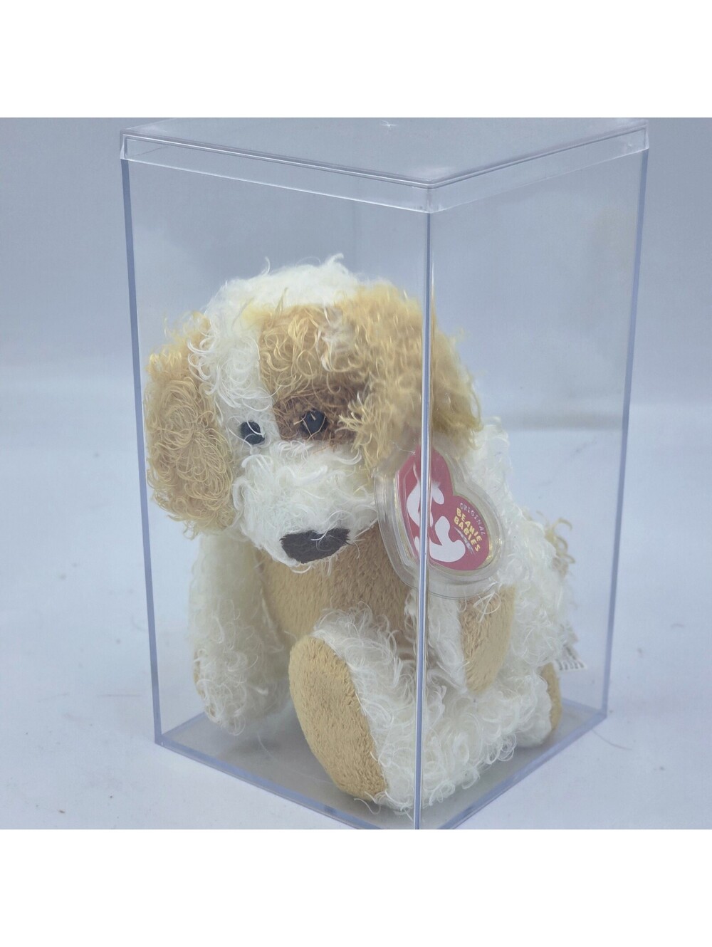 Ty Beanie Baby Diggs Dog Plush MWMT w/ Tag Protector & Acrylic Display Case